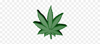 Ideal Marijuana Leaf Transparent Background Pin Transparent - Weed Png