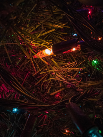 Illuminated Christmas Lights
