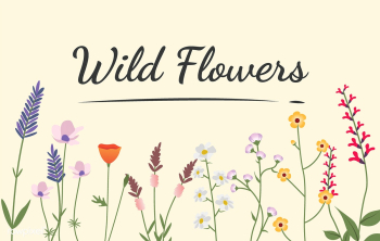 Illustrated wild flowers | Free stock vector - 4274