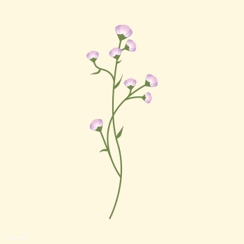 Illustrated wild flowers | Free stock vector - 4276