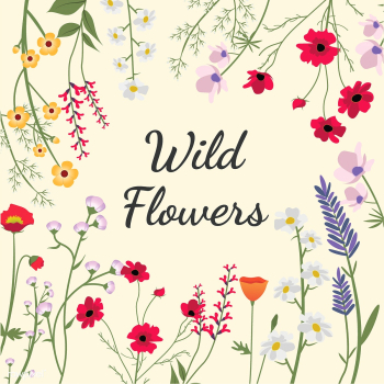 Illustrated wild flowers | Free stock vector - 4286