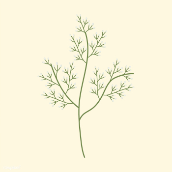 Illustrated wild flowers | Free stock vector - 4287