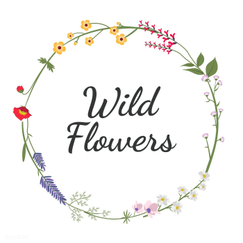 Illustrated wild flowers | Free stock vector - 4291