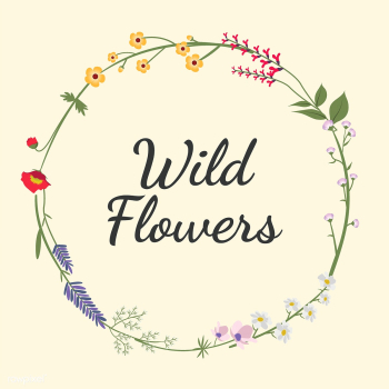 Illustrated wild flowers | Free stock vector - 4296