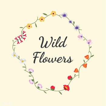 Illustrated wild flowers | Free stock vector - 4298