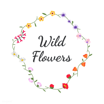 Illustrated wild flowers | Free stock vector - 4306