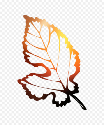 Illustration Autumn Coloring book Leaf - Illustration Autumn Coloring book Leaf -