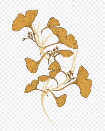 Illustration Floral design Cut flowers Graphic design - Illustration Floral design Cut flowers Graphic design -
