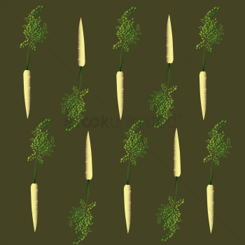 Illustration of carrots Illustration of carrots