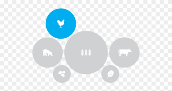 Illustration Of Food Types With Chicken Highlighted - Food Illustration Of Food Types With Chicken Highlighted - Food