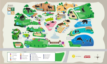 Illustration of zoo park map Illustration of zoo park map