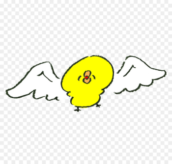 Illustration Photography Website Image Computer Icons - Illustration Photography Website Image Computer Icons -