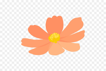 Illustration Portable Network Graphics Flower Cleanser - Illustration Portable Network Graphics Flower Cleanser -