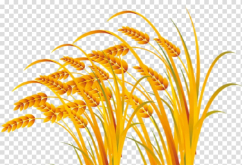 Illustration, Wheat harvest foul free pull material transparent background PNG clipart