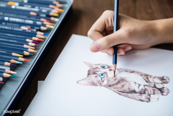 Illustrationist coloring adorable animal work.. | Free stock photo - 384983