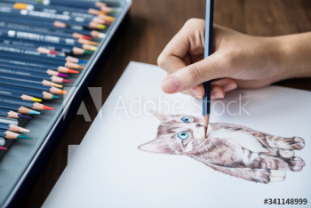 Illustrationist coloring adorable animal workspace concept