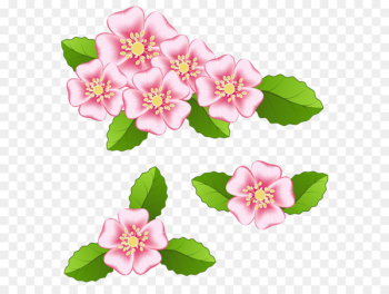 Image file formats Raster graphics Computer file - Pink Flowers Transparent PNG Clip Art Image 