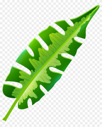 Image Gallery Of Tropical Leaf Clip Art - Image Gallery Of Tropical Leaf Clip Art