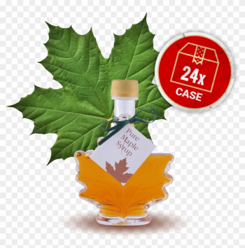 Image Of Maple Leaf - Bulk Maple Syrup For Sale