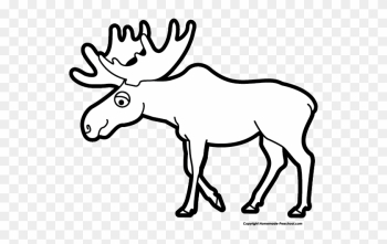 Image Of Moose Clipart 9 Clip Art Images Free For - Moose Black And White