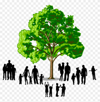 Image Result For Family Tree Logo - Example Of Hardwood Trees