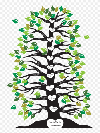 Image Result For Family Tree With Roots And Branches - Family Tree With Roots