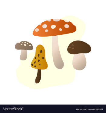 image set of various forest mushrooms the image set of various forest mushrooms the
