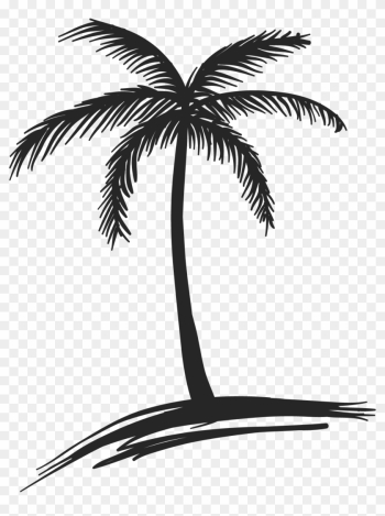 Images For Coconut Palm Tree Drawing - Palm Tree Drawing Png