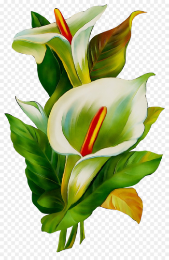 iMessage Floral design Sticker GIF iOS -  