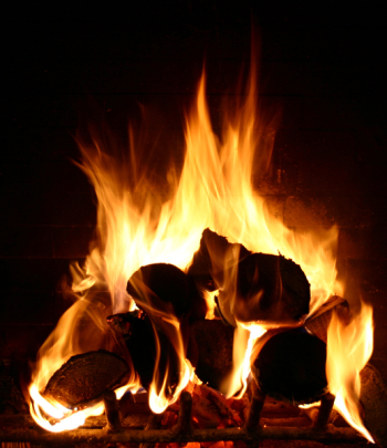 IMG_4290__jpg1.jpg IMG_4290__jpg1.jpg