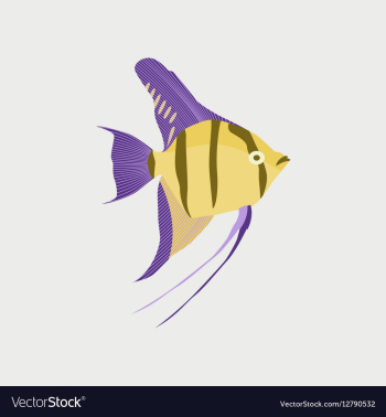 In flat style angelfish vector image In flat style angelfish vector image