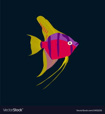 In flat style angelfish vector image In flat style angelfish vector image