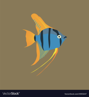 In flat style angelfish vector image In flat style angelfish vector image