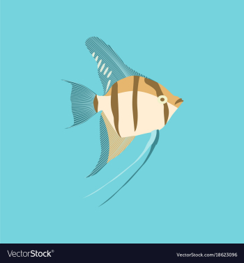 In flat style angelfish vector image In flat style angelfish vector image