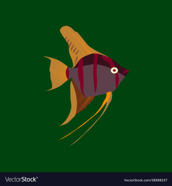In flat style angelfish vector image In flat style angelfish vector image