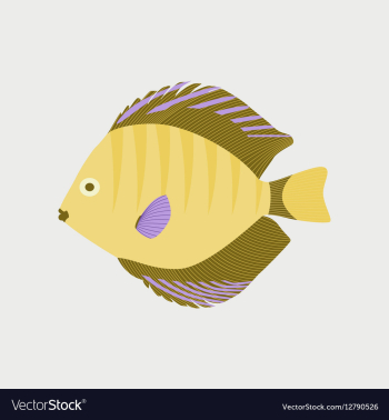 In flat style discus fish vector image