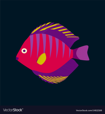 In flat style discus fish vector image