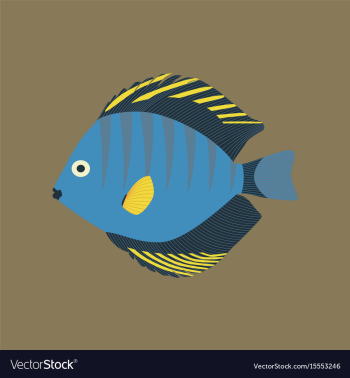 In flat style discus fish vector image