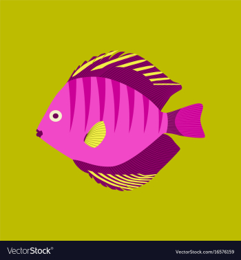 In flat style discus fish vector image