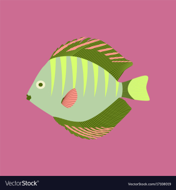 In flat style discus fish vector image