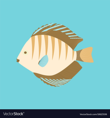 In flat style discus fish vector image