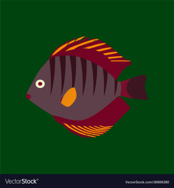 In flat style discus fish vector image