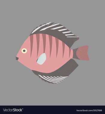 In flat style discus fish vector image