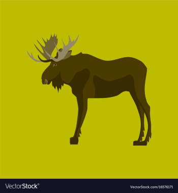 In flat style elk vector image
