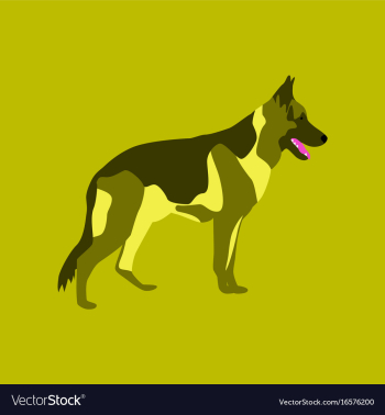 In flat style german shepherd vector image In flat style german shepherd vector image