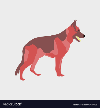 In flat style german shepherd vector image In flat style german shepherd vector image