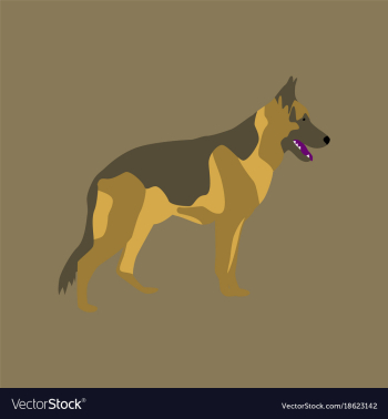 In flat style german shepherd vector image In flat style german shepherd vector image
