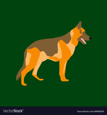 In flat style german shepherd vector image In flat style german shepherd vector image