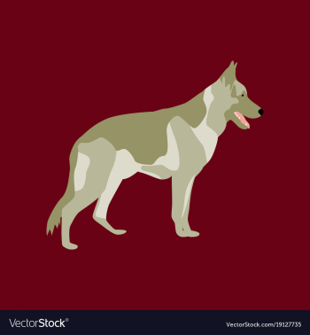 In flat style german shepherd vector image In flat style german shepherd vector image