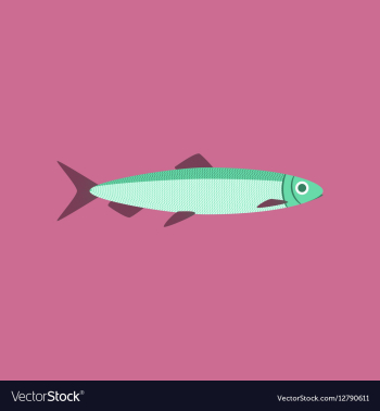 In flat style herring vector image In flat style herring vector image